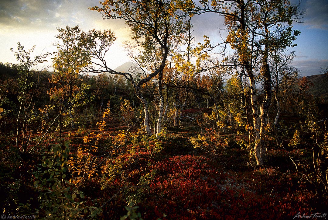 Autumn in the Norwegian Arctic