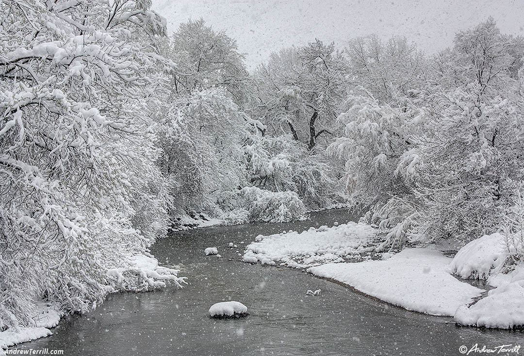 Creek and snowstorm