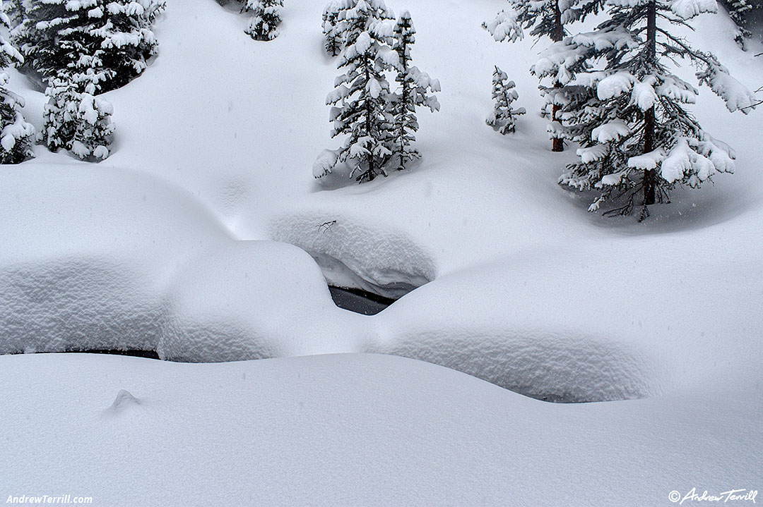 deep soft snow - Rocky Mountain National Park - 6 March 2026