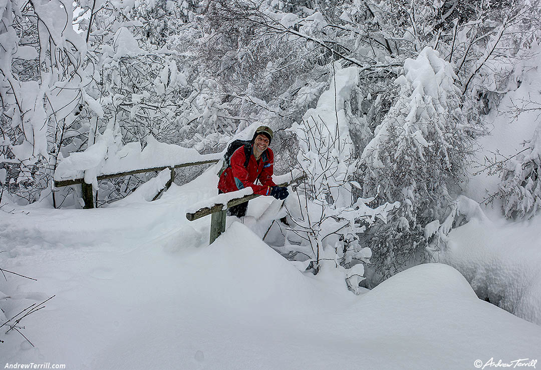bridge along the trail