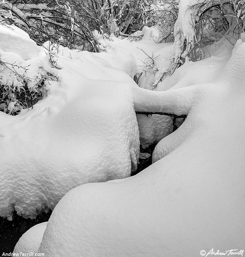 snow covered creek
