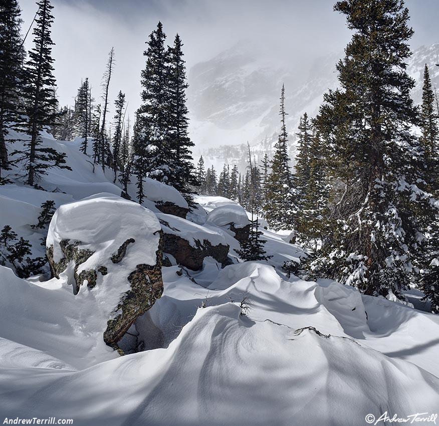 wild day - 7 march 2026