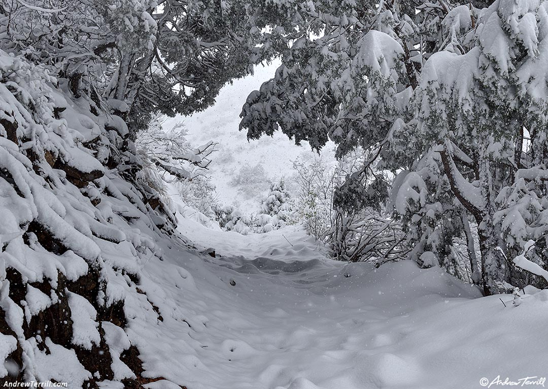 may snow 5-6-26