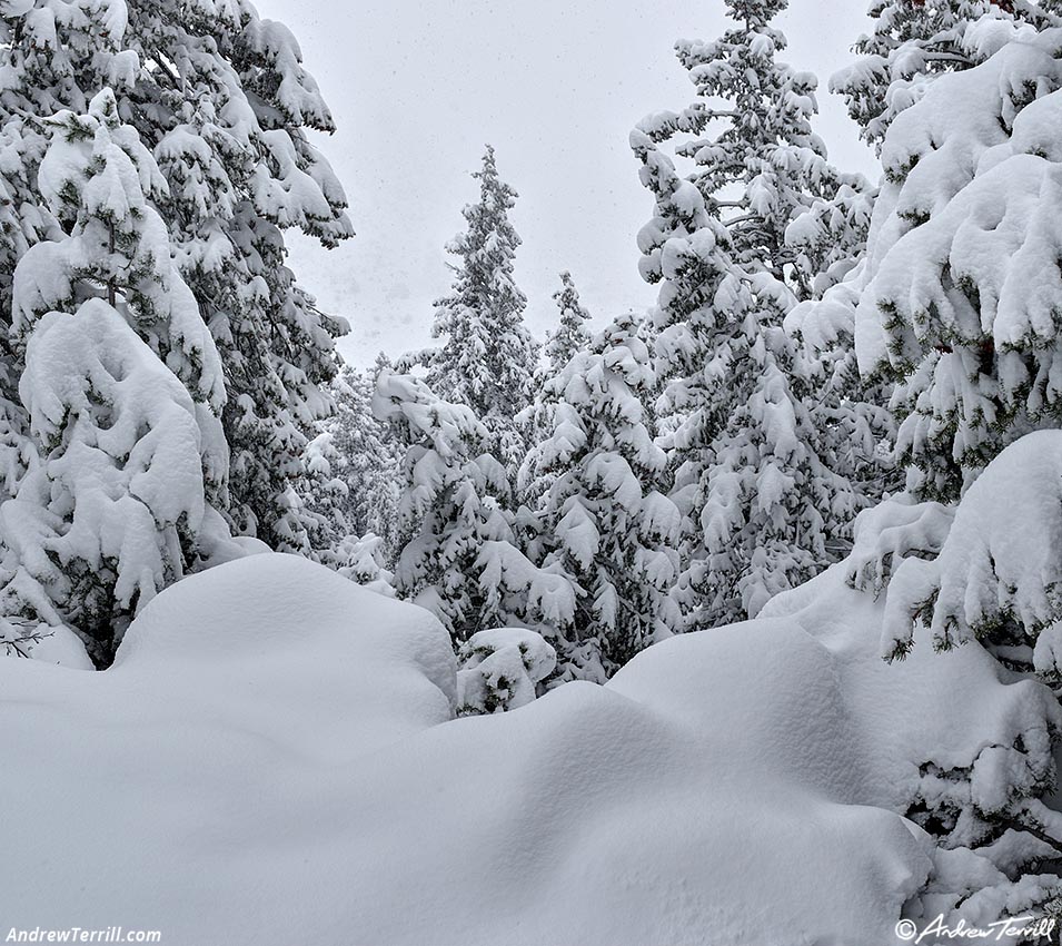may snow 5-6-26