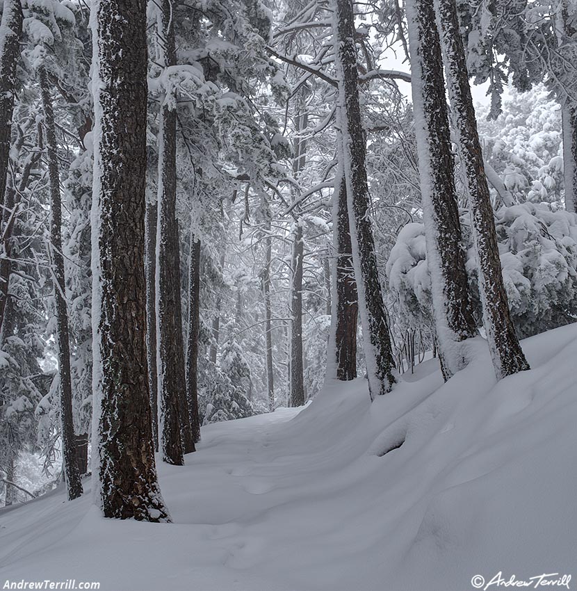 may snow 5-6-26