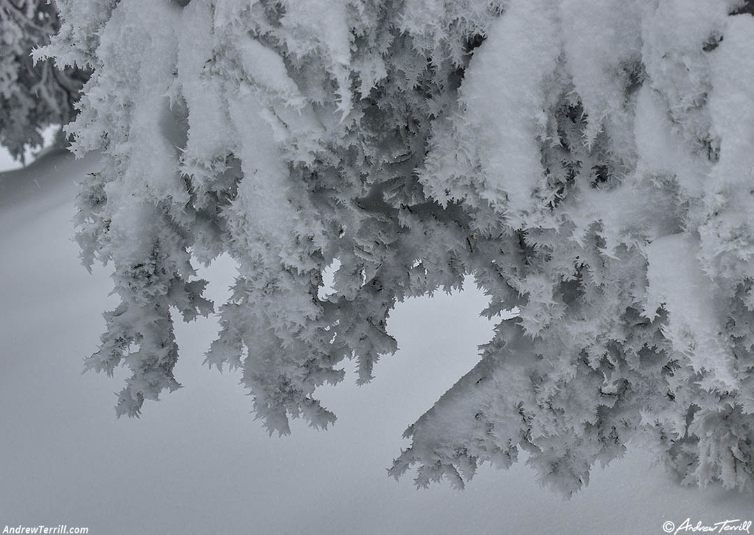 may snow 5-6-26