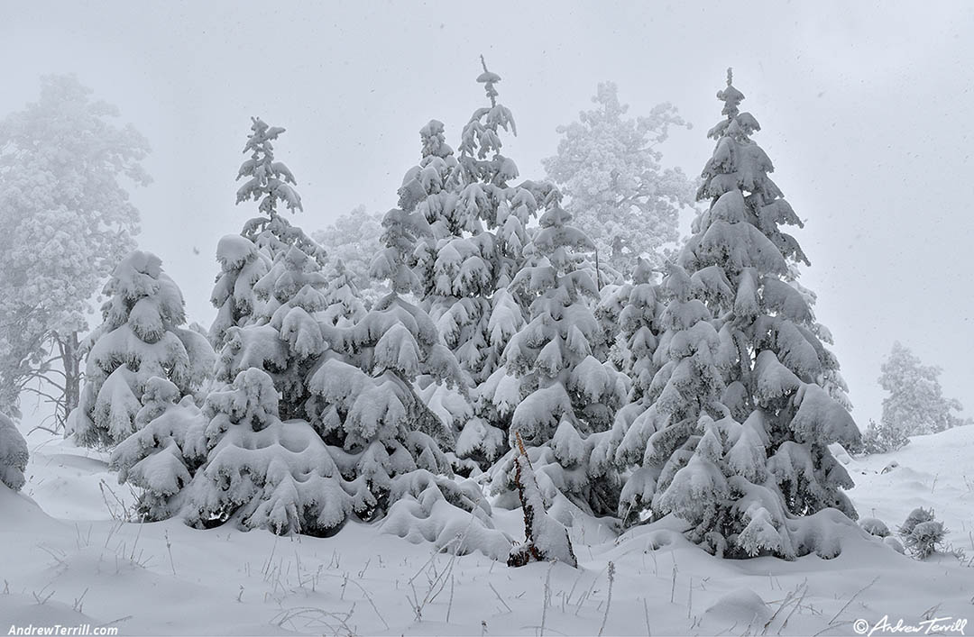 may snow 5-6-26