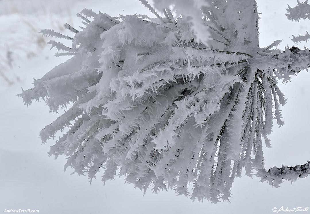 may snow 5-6-26