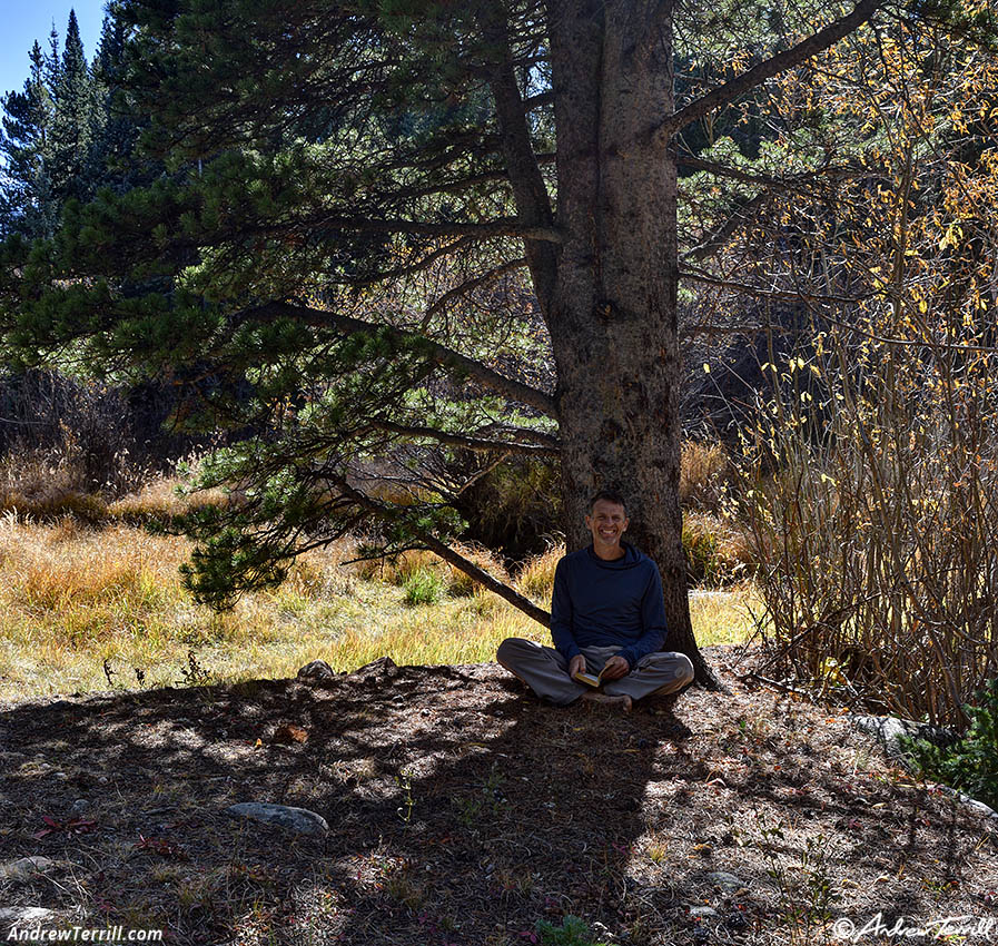 woodland interlude - 10 Oct 2026