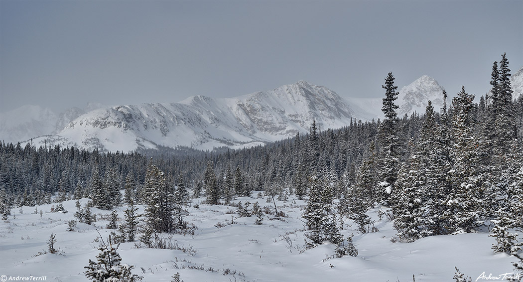 winter mountains in indian peaks wilderness near brainard lake colorado