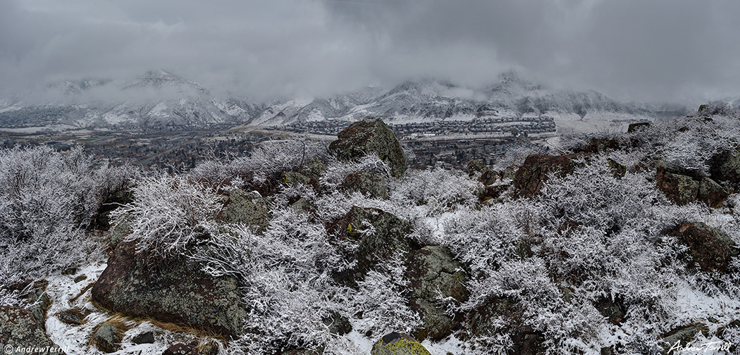 Golden Colorado in frost fog and snow march 2021