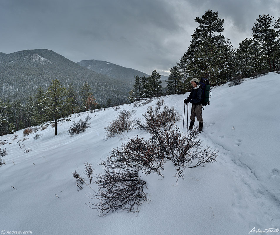 andrew terrill hiker in golden gate canyon state park colorado