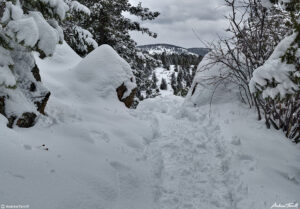 broken trail in snow through forest and mountains along beaver brook trail