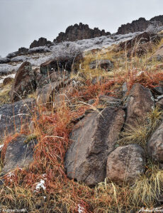 frosted slopes beneath golden cliffs on north table mountain golden colorado