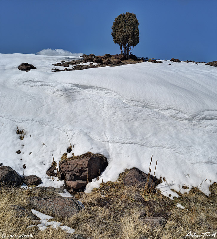 massive snow drift and juniper on north table mountain golden colorado march 2021