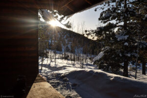 morning sun shinning into appalachian shelter in golden gate canyon state park colorado