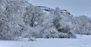 north table mountain golden in snow on a cold spring morning