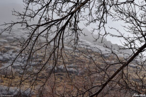 north table mountain in fog and frost seen from below golden colorado