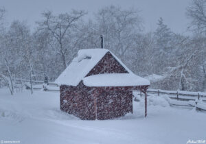 raging blizzard and snowstorm at golden history park march 2021