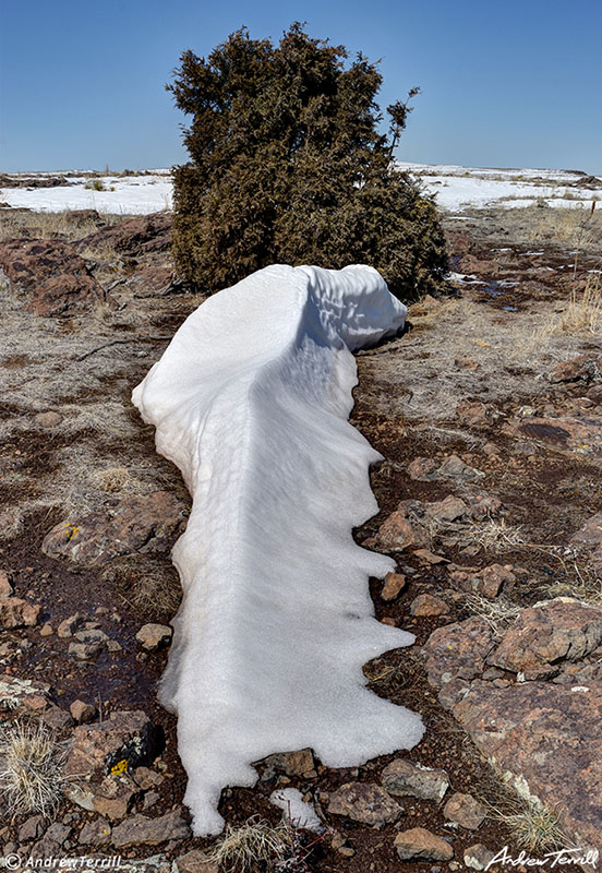 small snow drift and juniper on north table mountain mesa golden colorado