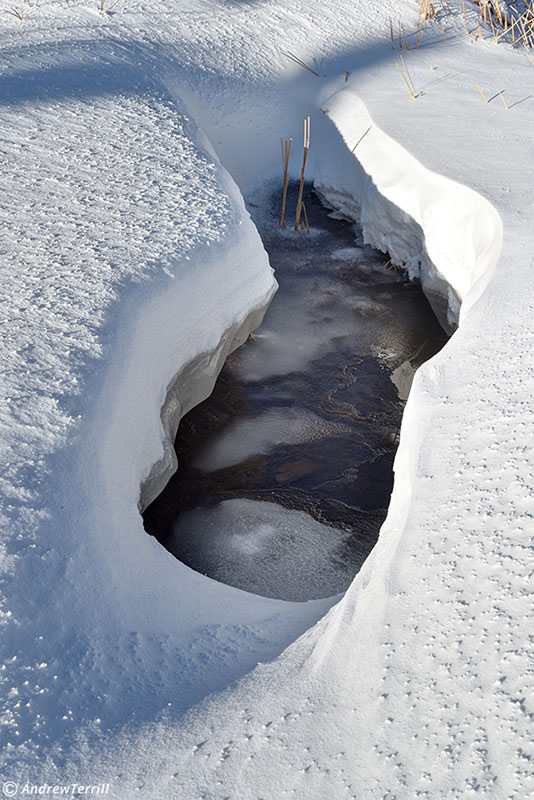 small winter creek in deep snow in colorado