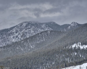 snow covered front range foothills near golden colorado