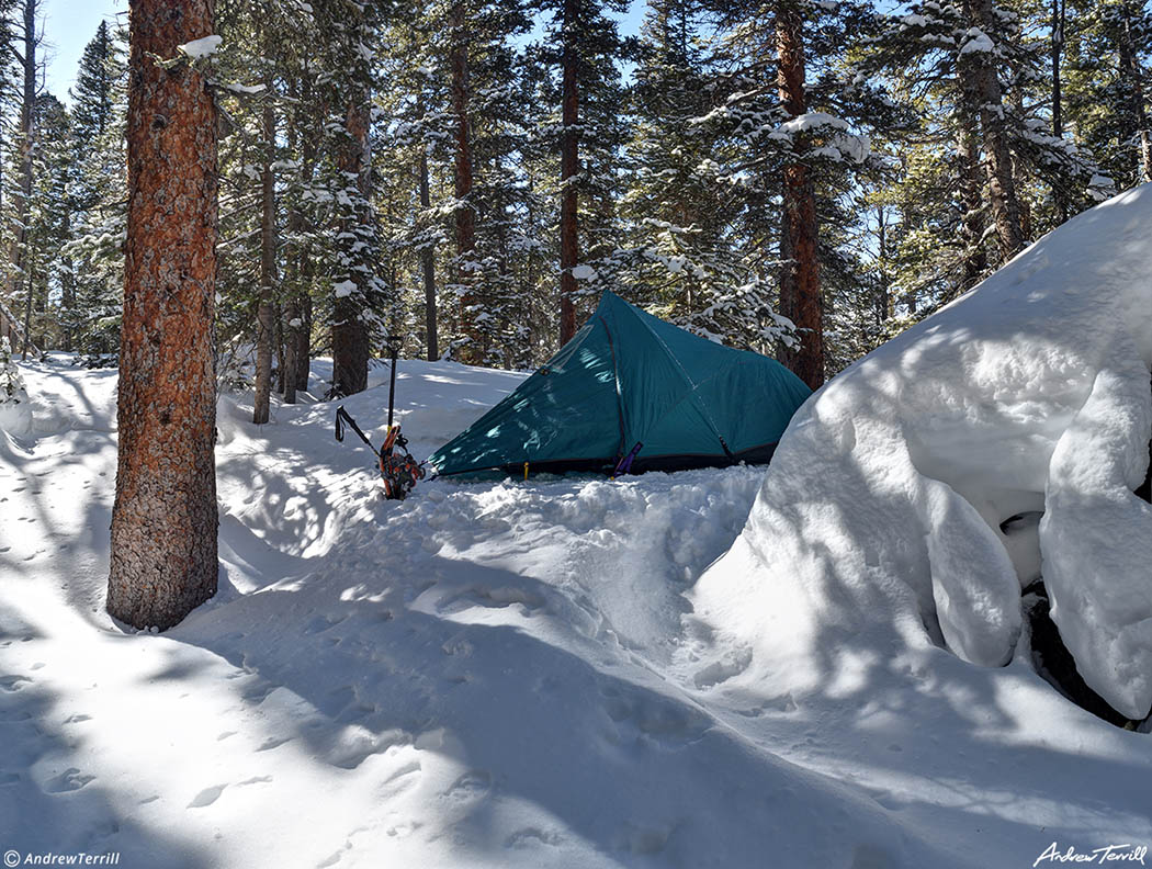 tent in forest winter camping in colorado rocky mountains