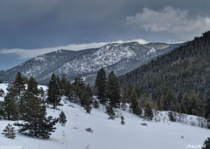 winter scene in golden gate canyon state park colorado