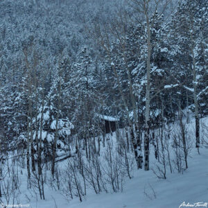 cabin in the forest winter colorado