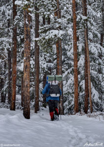 hiking into forest winter snow golden gate canyon state park