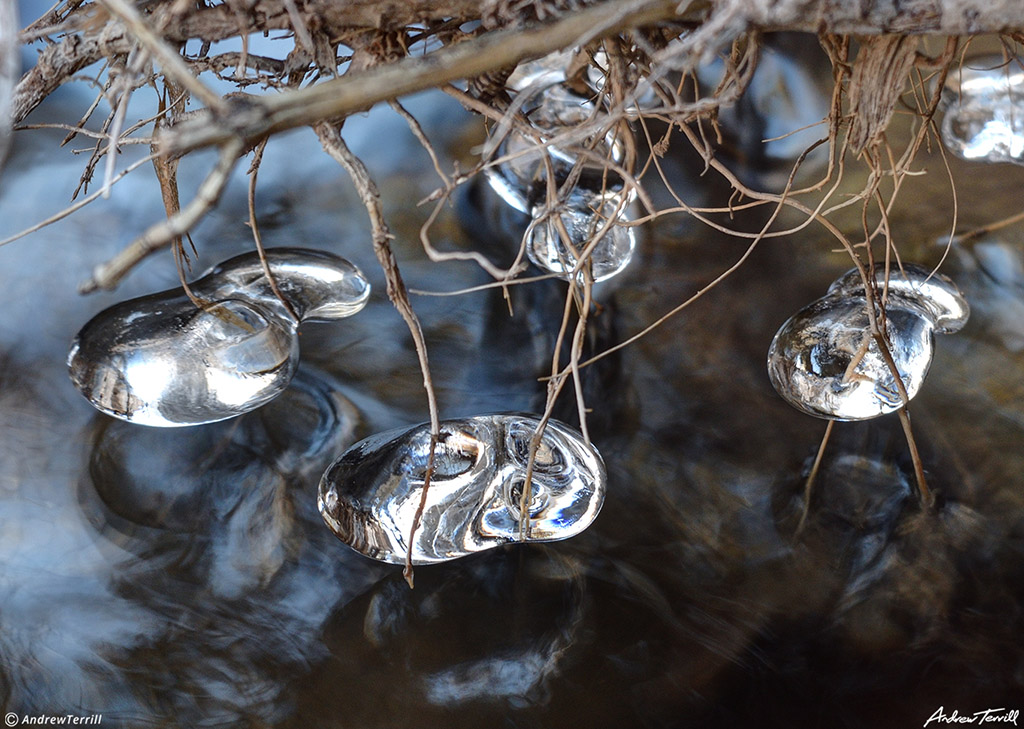 ice diamonds on roots mountain river