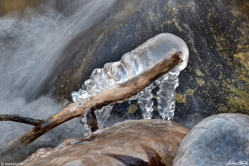 ice frozen onto stick in mountain river