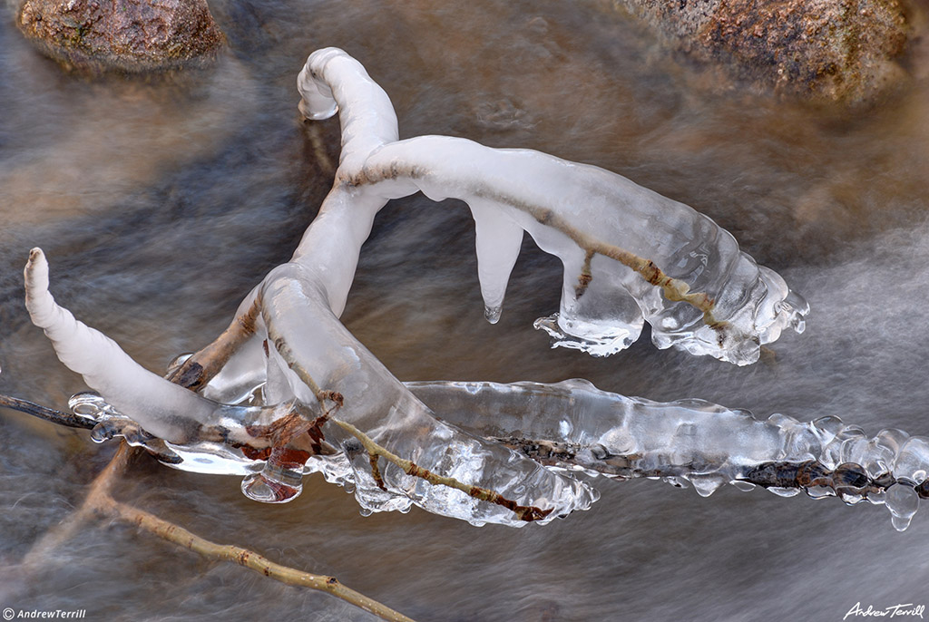 ice on twigs in mountain river in winter