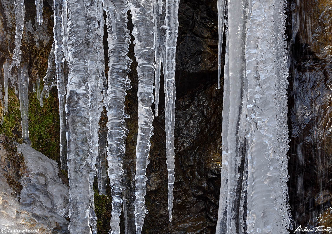 icicles moss rock and water near waterfall with ice