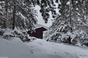 lean to shelter in winter forest golden gate canyon state park colorado