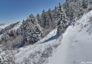 unbroken trail in snow on mount galbraith golden colorado april 2021