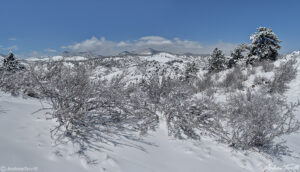 winter snow on mount galbraith open space near golden jefferson county colorado