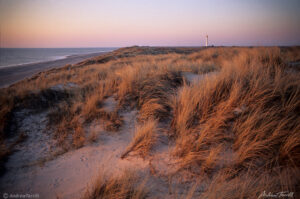 sand dunes beach sea and lighthouse at sunet in denmark north sea coast