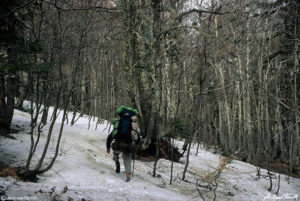 andrew terrill hiker in snow in beech wood on May 3 1997 in the Aspromonte calabria italy