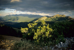 evening sunlight seen from monte lorio in abruzzo apennines italy