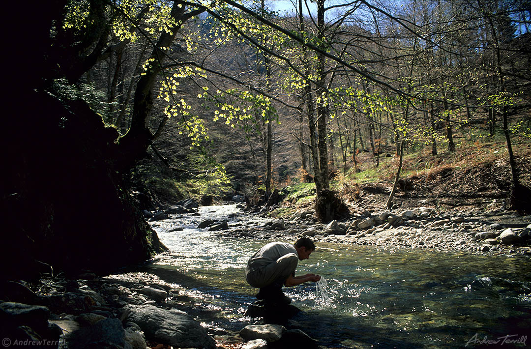 hiker drinking from stream in beech wood on May 4 1997 in the Aspromonte calabria italy