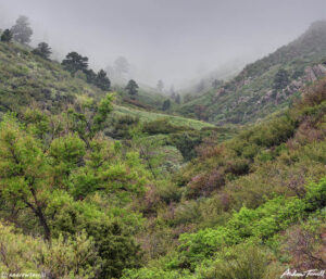 mount galbraith golden colorado in the fog spring may 2021