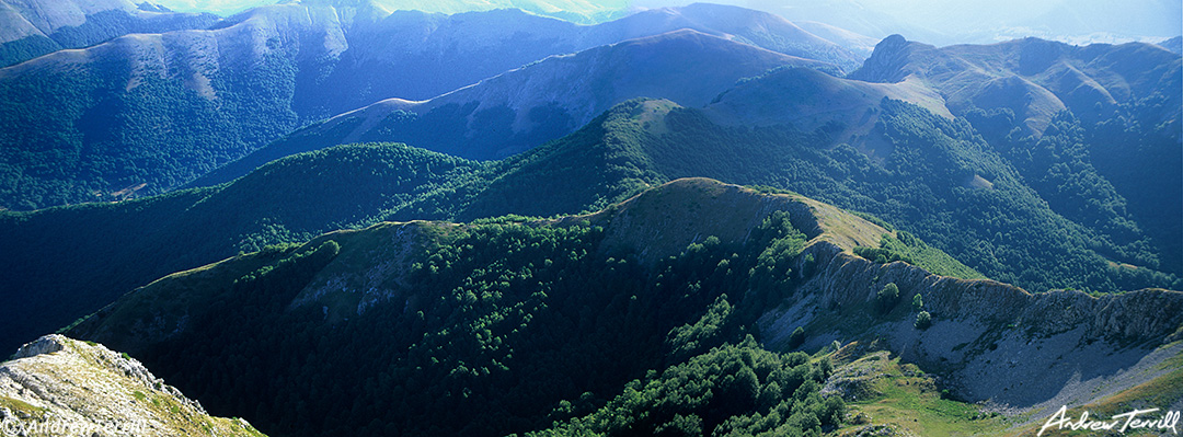 ridges and forests in the abruzzo national park apennines italy july 1997