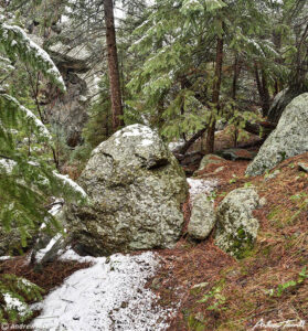 rocks boulders and pine trees in wilderness colorado valley