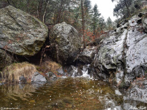 small waterfall and creek in rocky valley with forest in the colorado wilderness