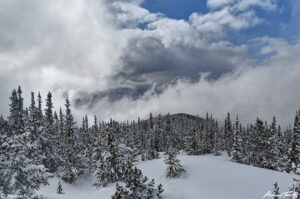 clearing winter storm clouds and snowy forest colorado