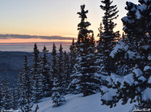 Winter sunrise with snow covered pine trees