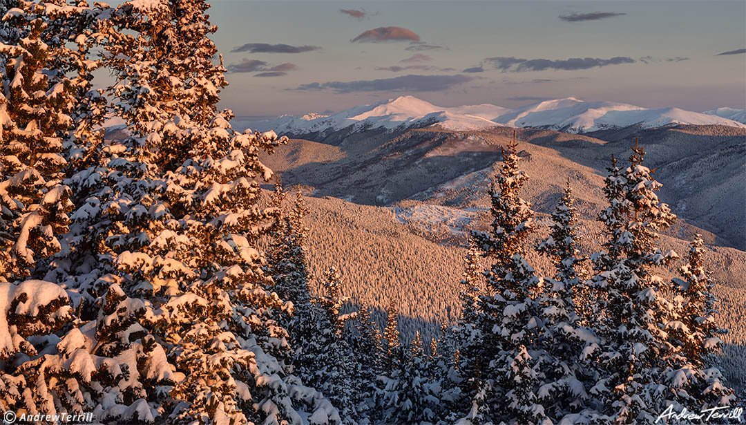 winter sunrise with alpenglow snow covered pines and mountains Front Range colorado