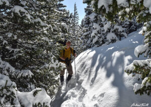 andrew terrill hiker in forest in snow colorado