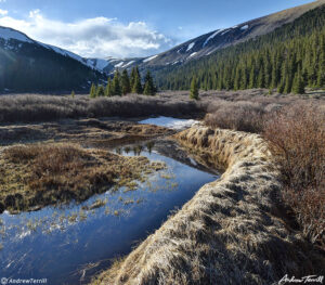 beaver dam in wild colorado valley